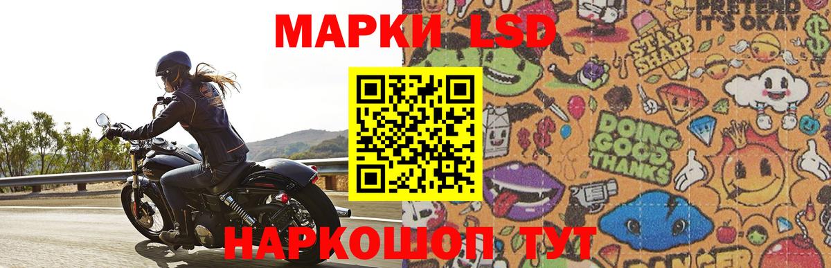 Кингисепп  Лсд 25 экстази ecstasy  ЛСД экстази ecstasy  Вход с VPN 