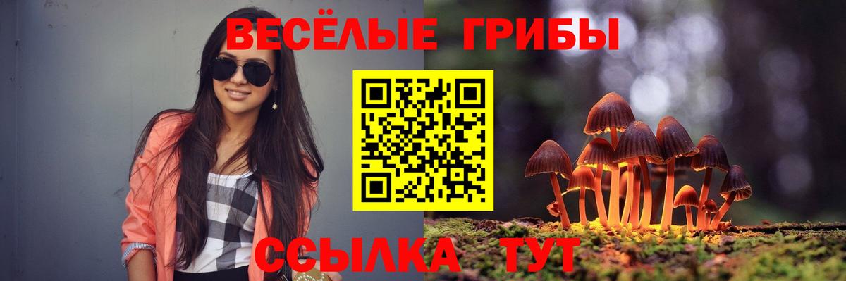 Псилоцибиновые грибы прущие грибы  Галлюциногенные грибы ЛСД  Вход с VPN  Кингисепп 