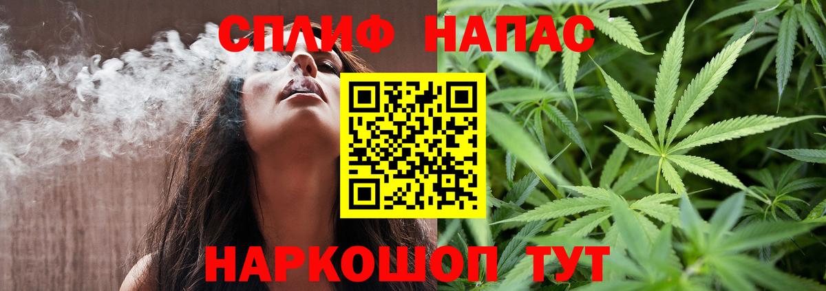 Бошки Шишки семена Кингисепп